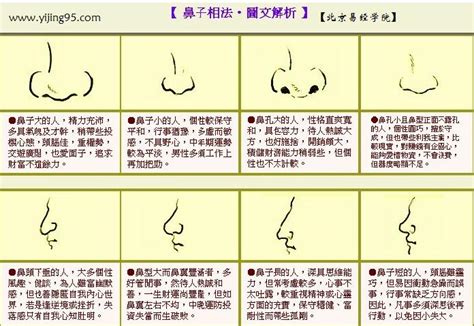 鼻子看面相|相鼻识人术（下集）